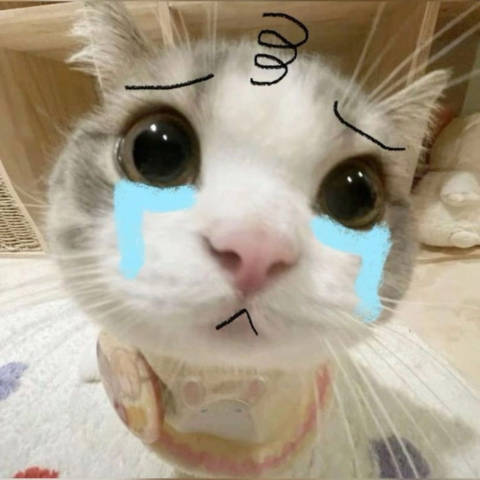 Meme buồn khóc nhìn mà thương 