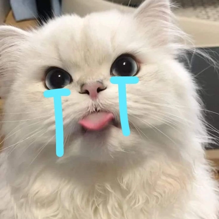 Hình meme khóc cực dễ thương 
