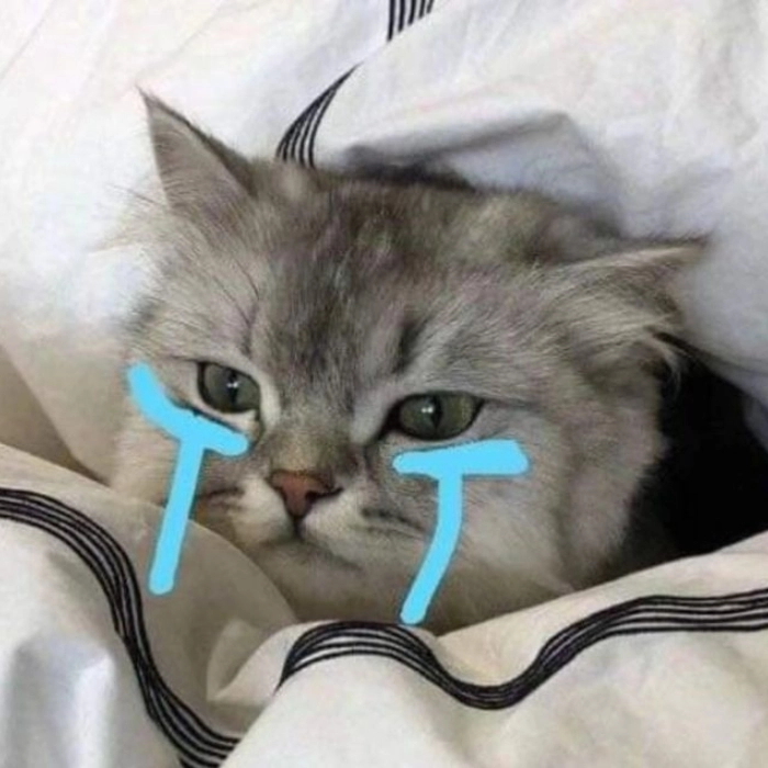 Hình ảnh khóc meme siêu hài 
