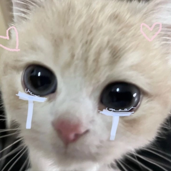 Ảnh meme buồn khóc bá đạo 