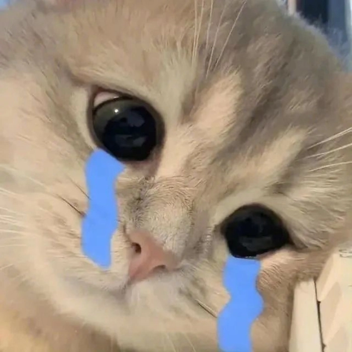 Ảnh khóc meme buồn cực mạnh 