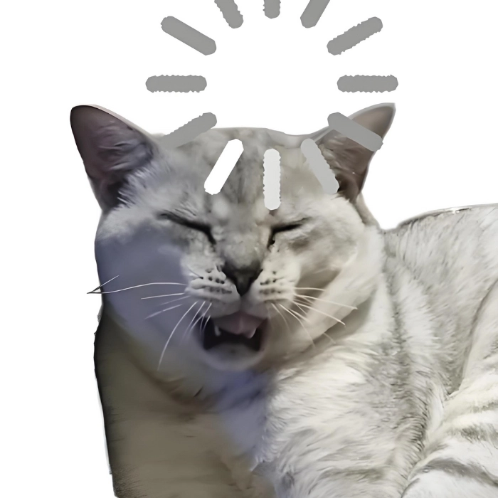 meme mèo ngủ cực ngáo