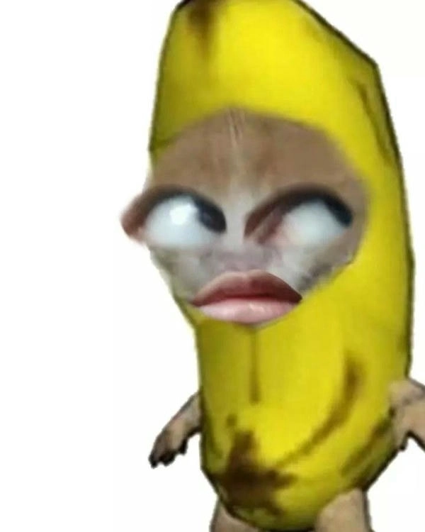 ảnh meme mèo chuối dễ thương 