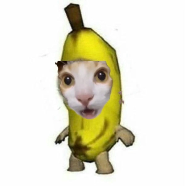 meme con mèo quả chuối meme mới 