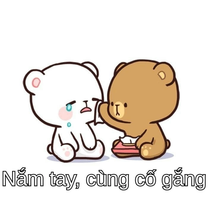 hình ảnh meme con mèo an ủi đáng yêu 