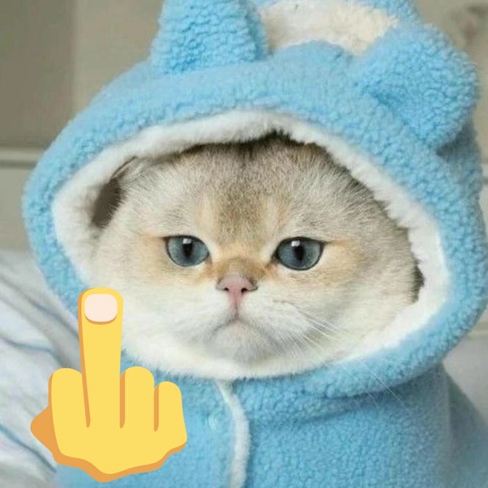 ảnh mèo troll ngón giữa 