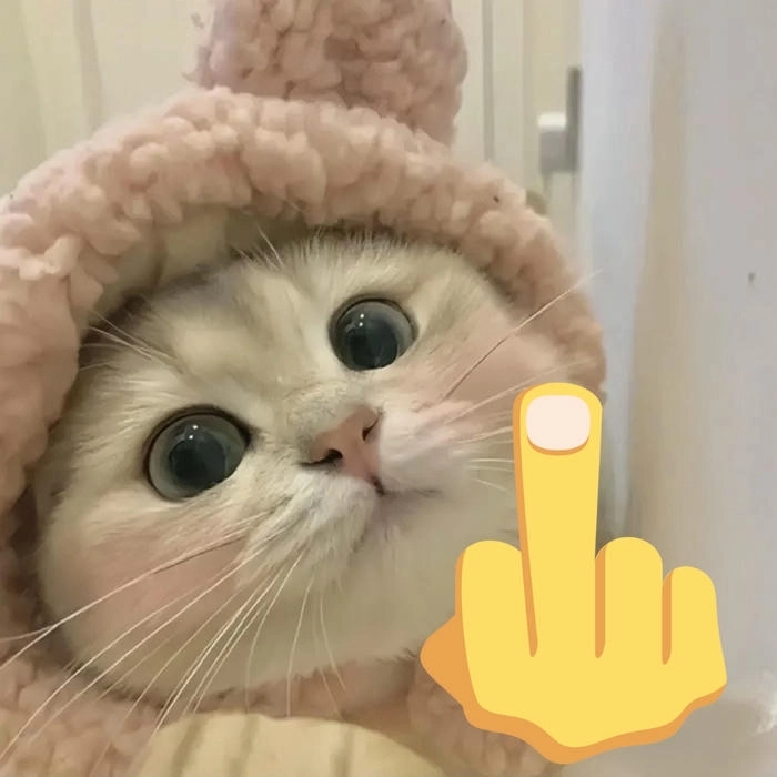 meme mèo giơ tay giữa 