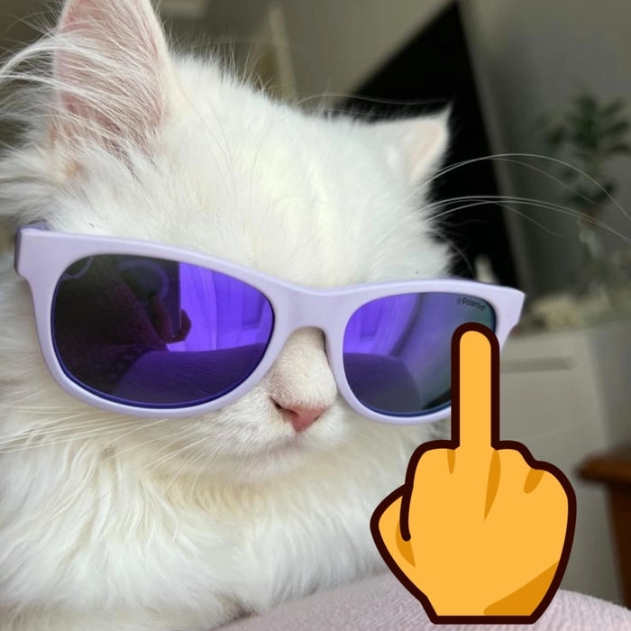 meme mèo biểu cảm ngón giữa 