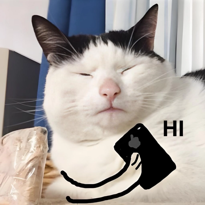 meme mèo hello dễ thương
