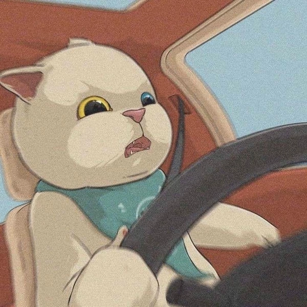meme mèo lái xe cười ra nước mắt 