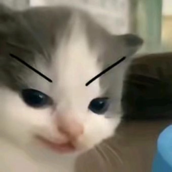 meme mèo cười nhếch mép cực gắt 