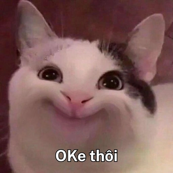meme mèo ok biểu cảm 