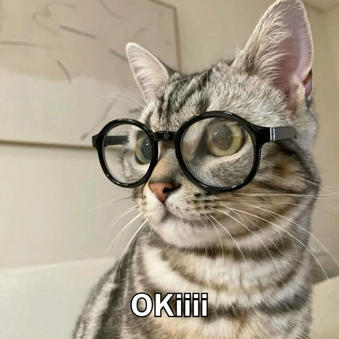 ảnh meme mèo ok 