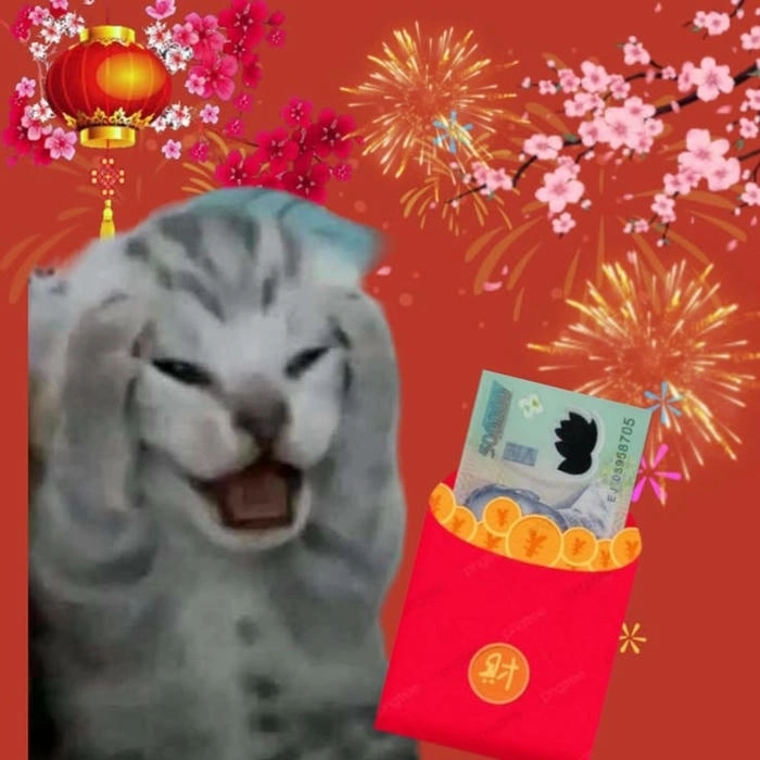 hình meme mèo tết chế bá đạo 