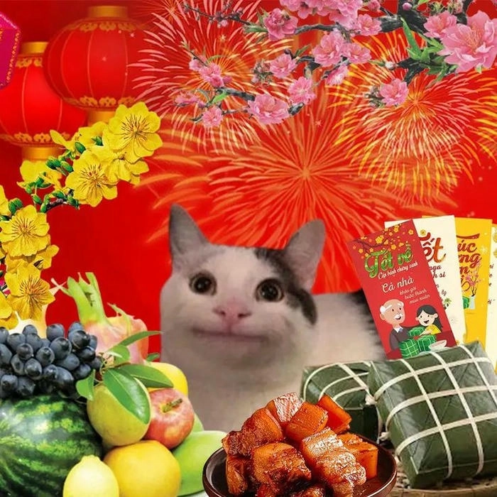 ảnh meme mèo tết mới nhất 