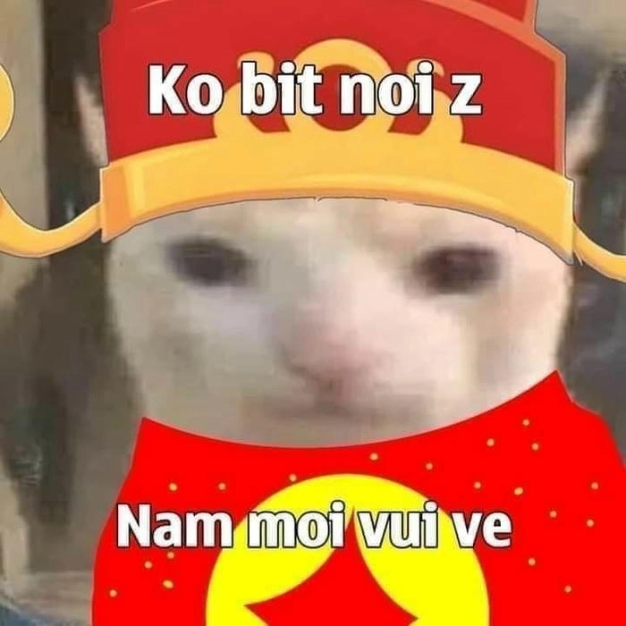 meme mèo ngày tết lầy lội 