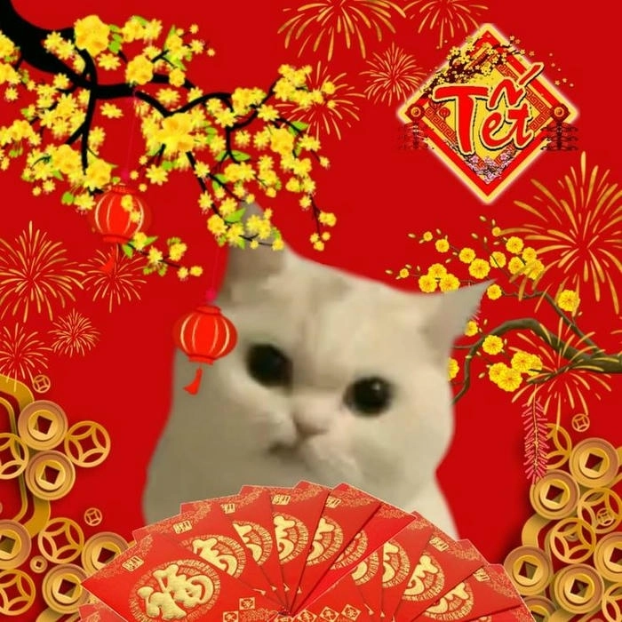 ảnh meme mèo đón tết siêu hài 