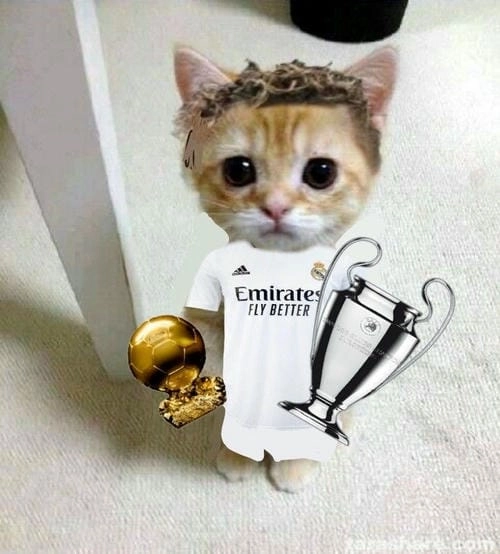Ngầu meme cực sáng tạo 