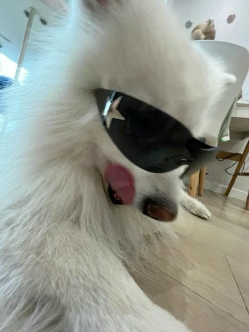 Meme ngầu siêu cấp vip 