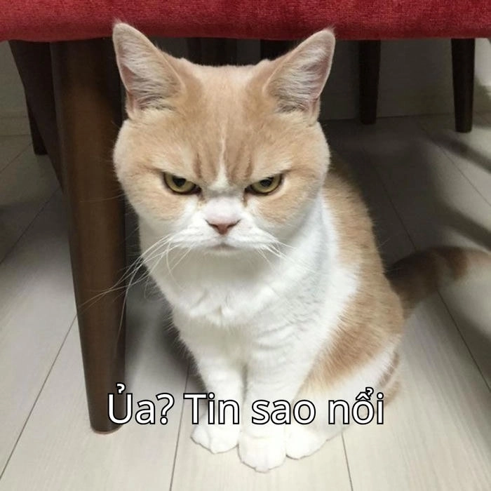 meme nghi ngờ với biểu cảm hài hước 