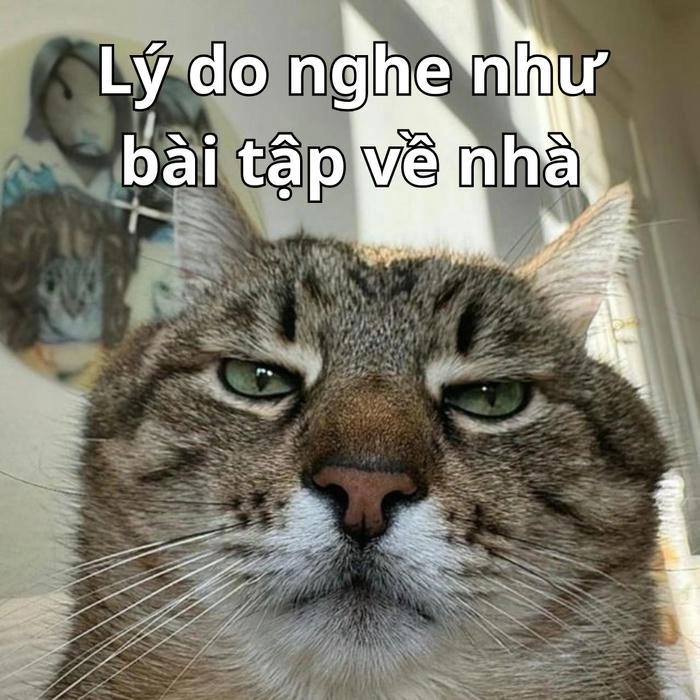 meme ánh mắt nghi ngờ cực chất 