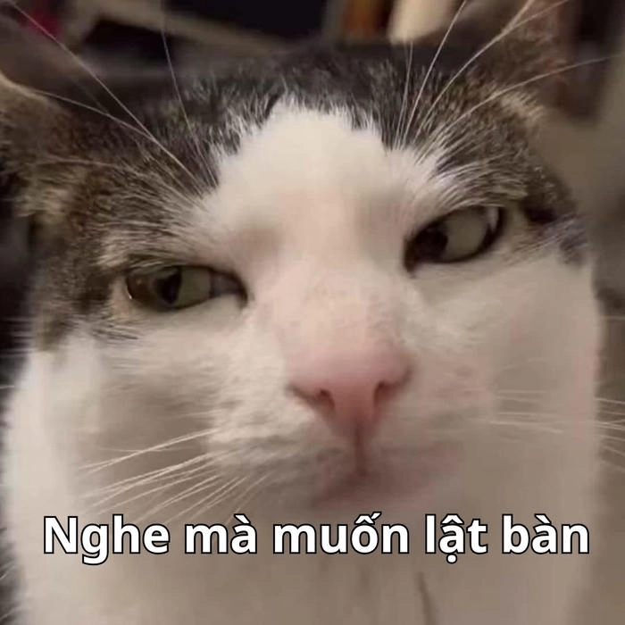 meme mặt nghi ngờ kiểu “thật không đó” 
