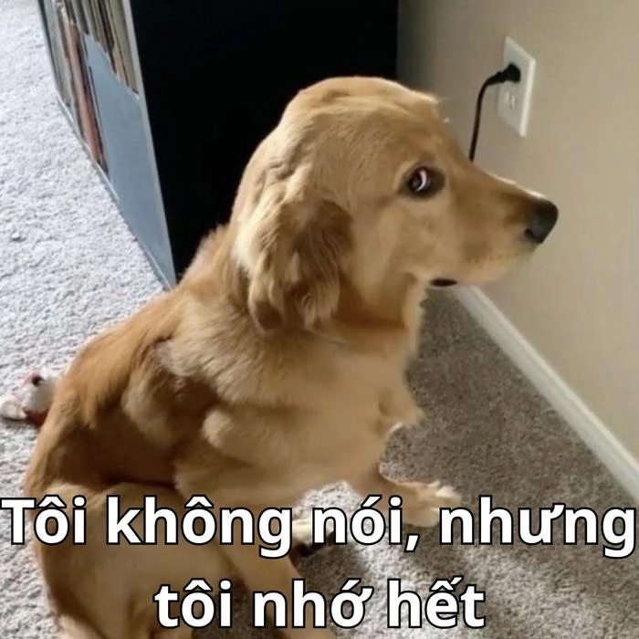 nghi ngờ meme dùng để cà khịa 