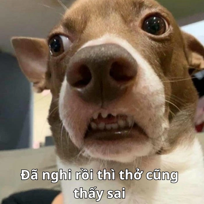 meme ánh mắt nghi ngờ phản ứng mạng 