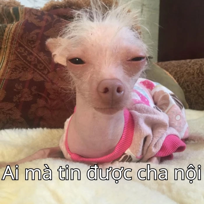 meme ánh mắt nghi ngờ siêu biểu cảm 