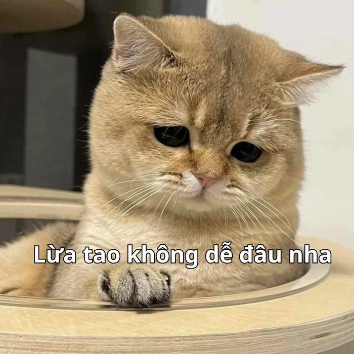 meme ánh mắt nghi ngờ nhìn xoáy sâu 