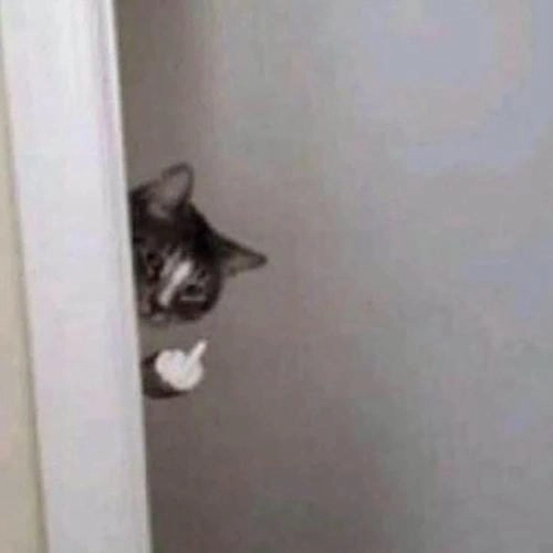 Meme chế ngón giữa cực khét 