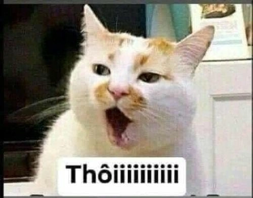 Ảnh chế meme nín 
