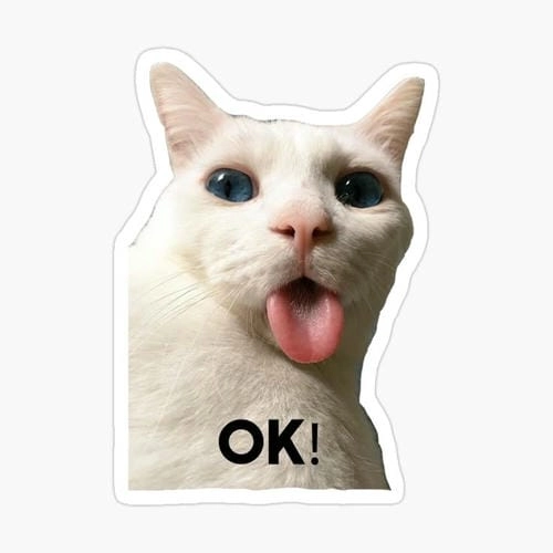 ok meme mèo cute