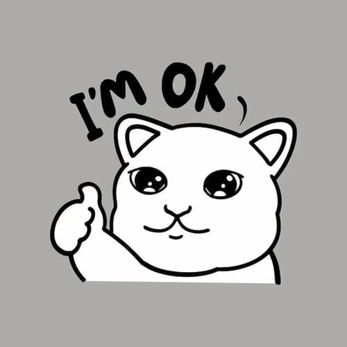 Ảnh meme ok hài hước 