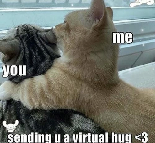 Hình ảnh meme ôm tình cảm 