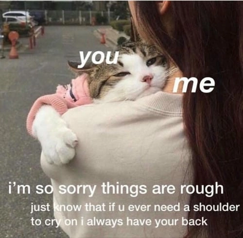 Meme ôm siêu đáng yêu 