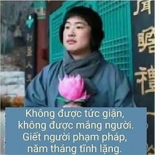 Meme phim buồn cười nhất 