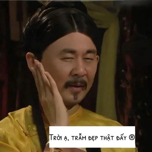 Hình ảnh meme trong phim 
