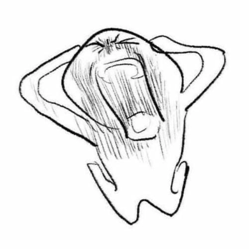 Meme hài quỳ xuống siêu hot 