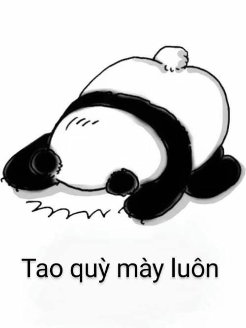 Ảnh meme quỳ gối siêu hài 