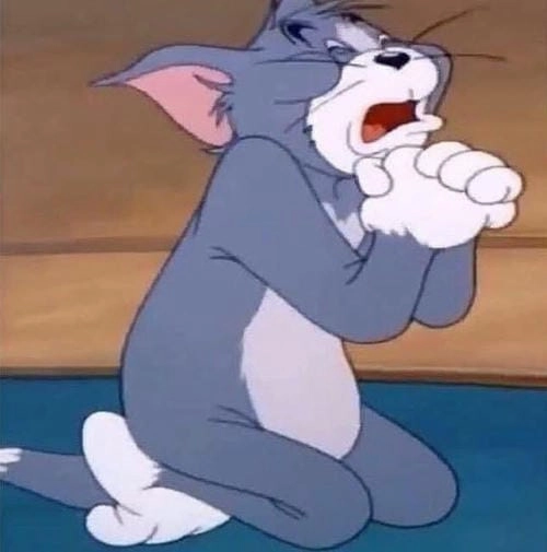 Meme quỳ gối hài hước