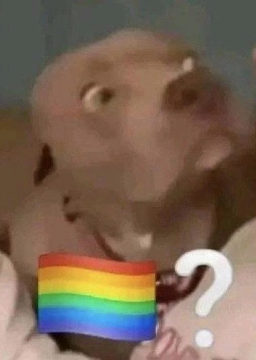 Meme sẽ gầy dễ thương 