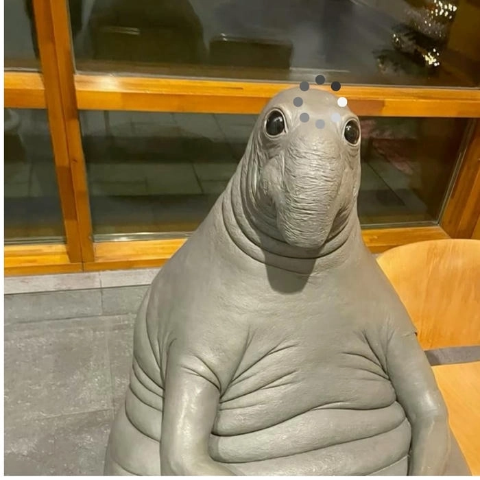 Meme gấu trúc đang suy nghĩ 