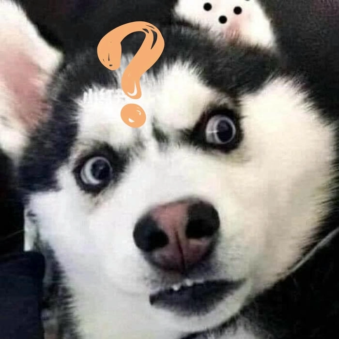 Hình chế hài khi đang nghĩ 