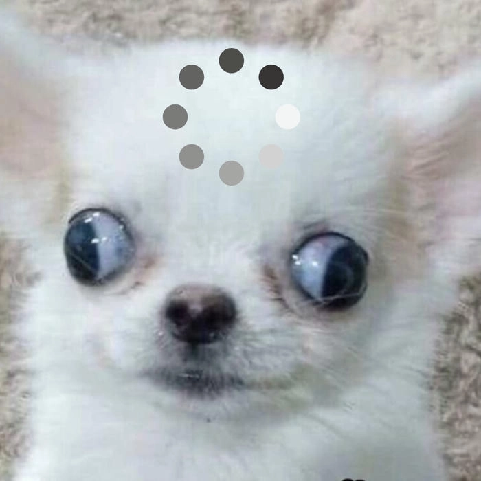 Meme suy nghĩ toán học khó hiểu