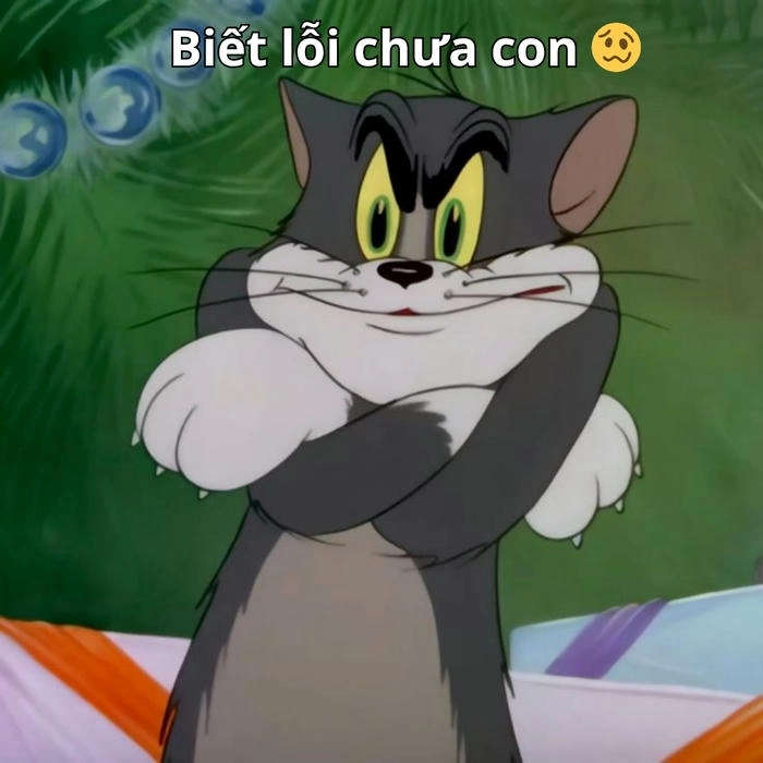meme tom và jerry cực hài hước 