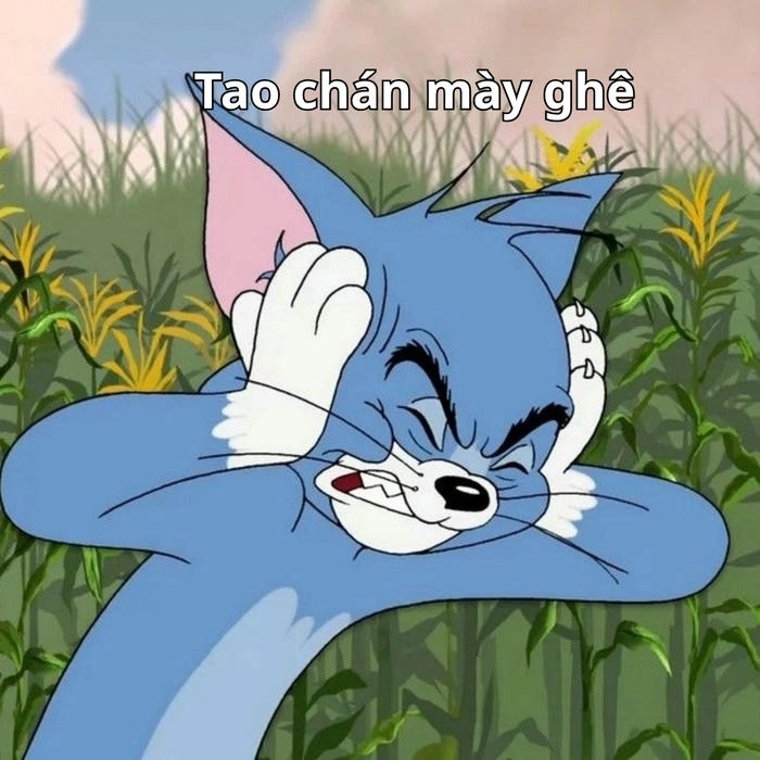 meme tom và jerry troll cực gắt 