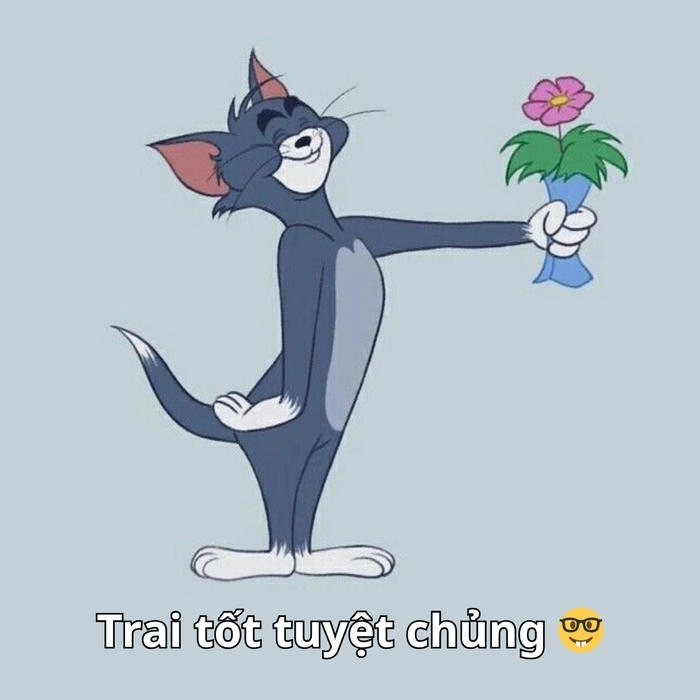 hình tom và jerry meme giải trí mỗi ngày 