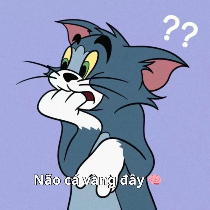 meme ảnh tom và jerry hài hước cực mạnh 
