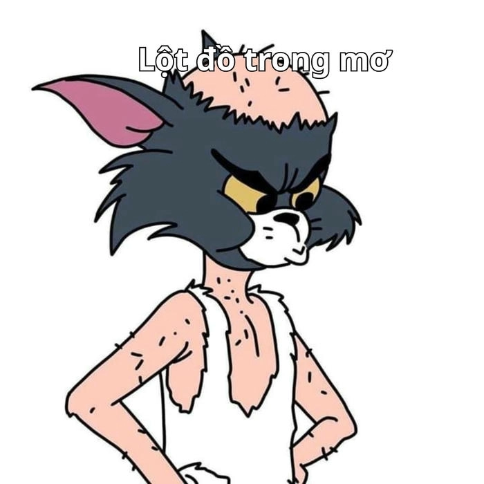 meme tom và jerry hài trong từng khung hình 